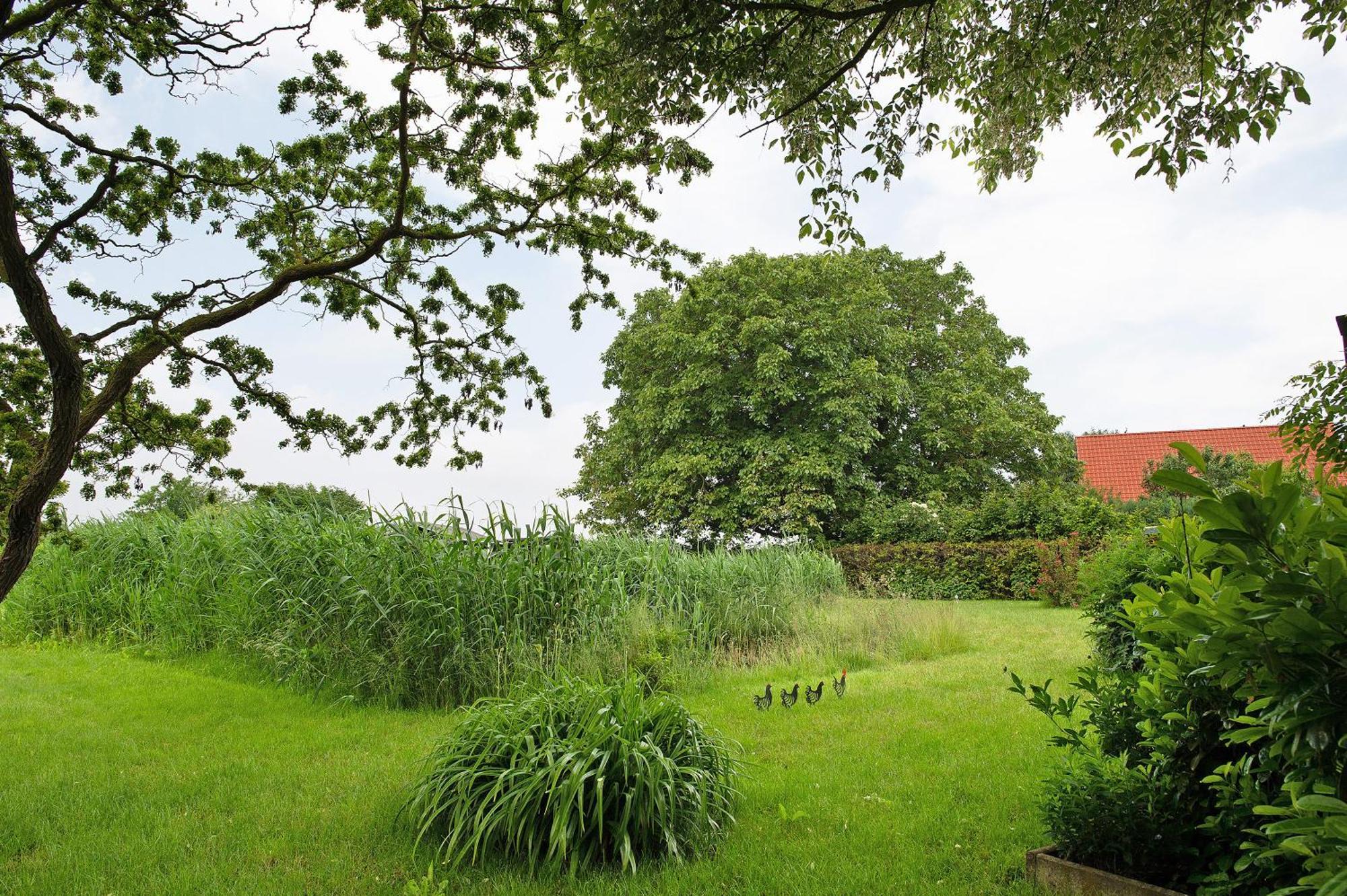 Entenhaus Hilgendorf Extérieur photo